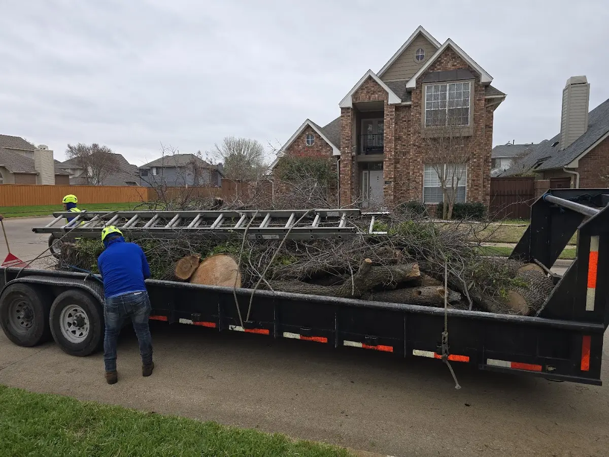 Expert Lot Clearing with proper safety equipment in Kit Carson